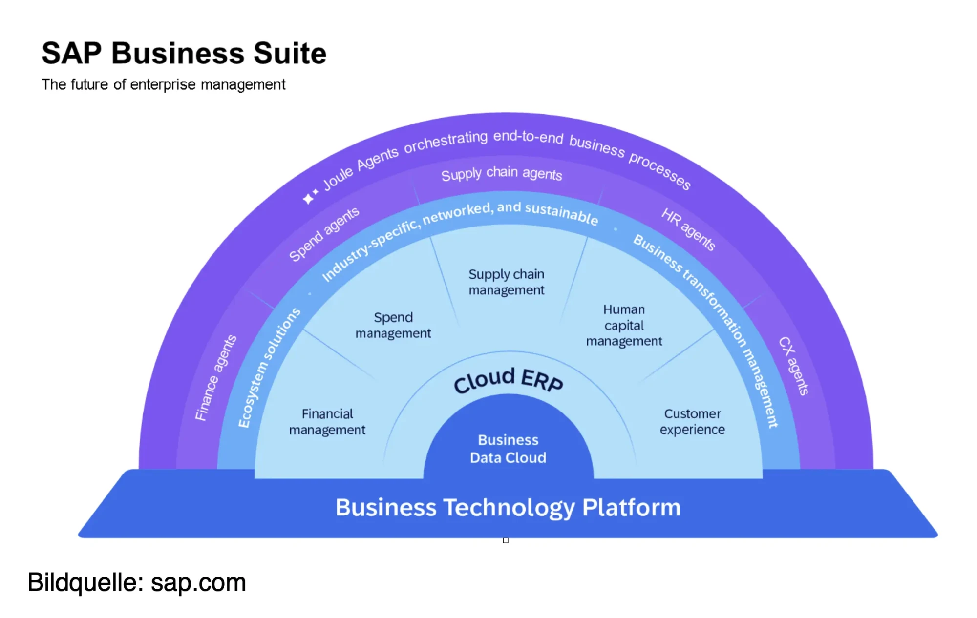 WIAG - SAP Business Suite